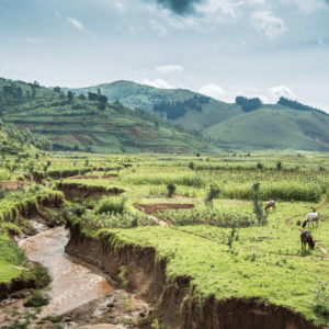 Image of Burundi