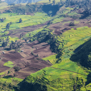 Image of Ethiopia highlands