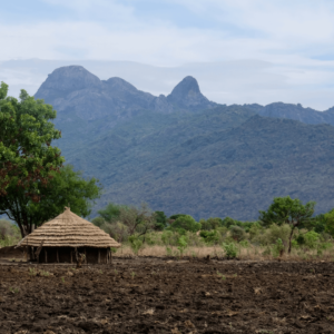 Image of African landscape